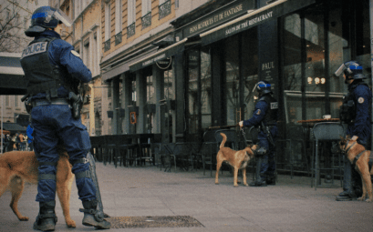 Comment les chiens policiers aident à assurer la sécurité publique