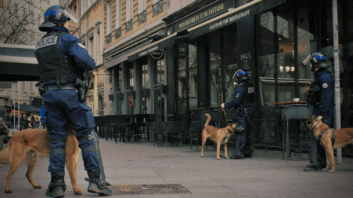 Comment les chiens policiers aident à assurer la sécurité publique
